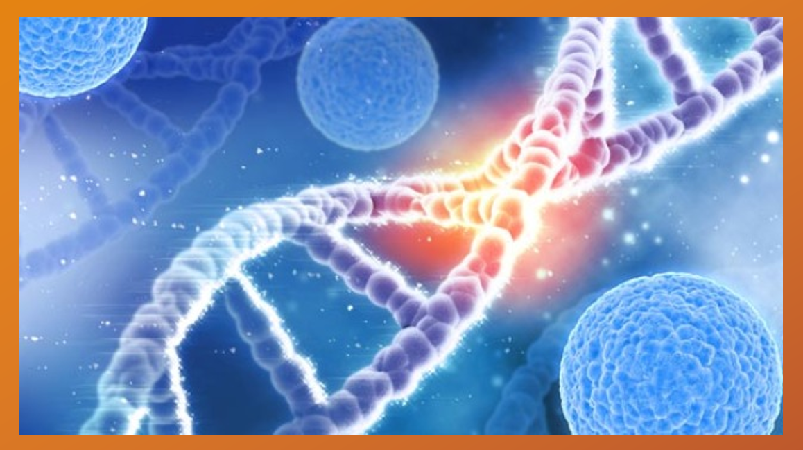 Pharma News - Novel gene therapy in advanced bowel cancer