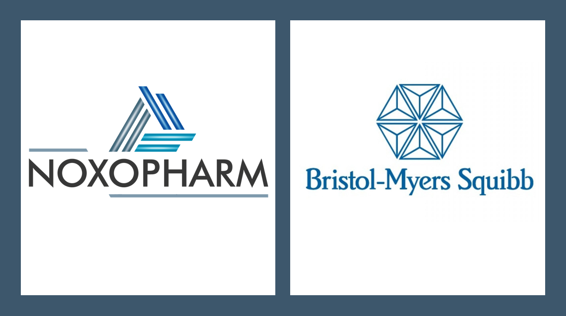 Pharma News - Noxopharm-BMS combination trial aims to boost efficacy of cancer treatment