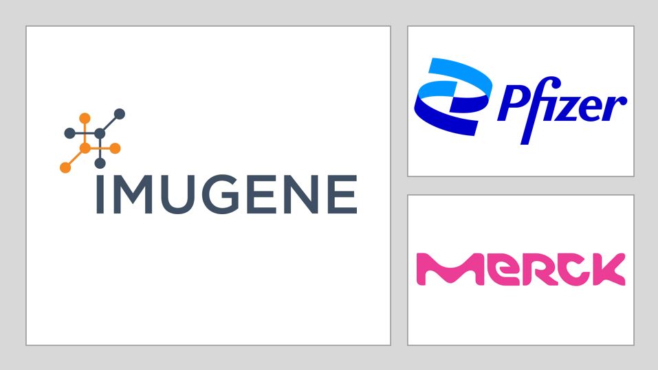 Pharma News - Australia's Imugene secures supply partnership with Merck and Pfizer